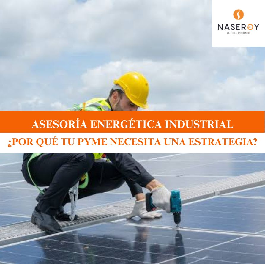 asesoria energetica industrial